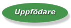 Uppf�darens uppgifter